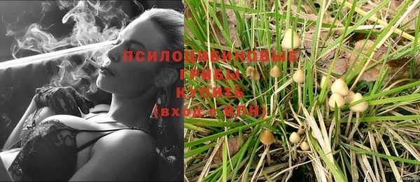 сатива Краснослободск