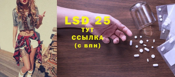 сатива Краснослободск