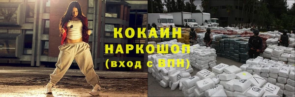 сатива Краснослободск