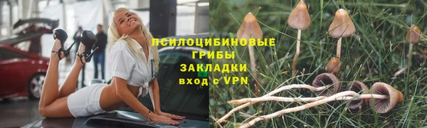 сатива Краснослободск
